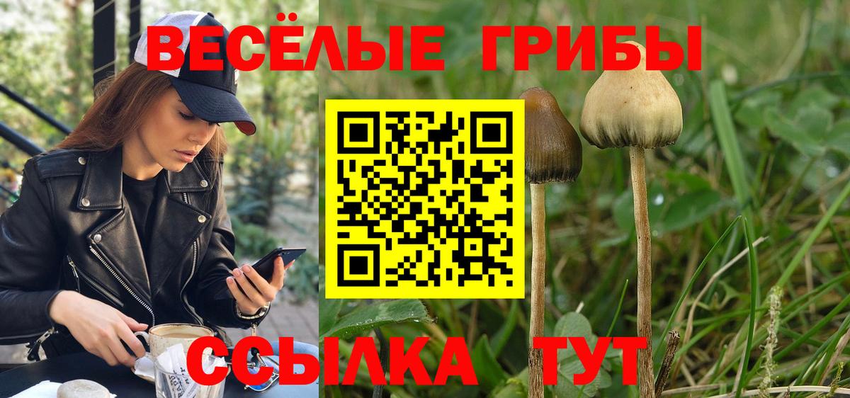 Воткинск  Галлюциногенные грибы GOLDEN TEACHER  Вход с VPN 